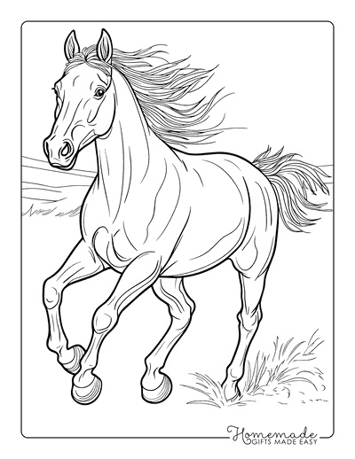 Horse Coloring Pages Realistic Wild Arabian Horse Running