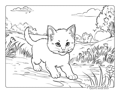 Kitten Coloring Pages Kitten in Meadow Adults