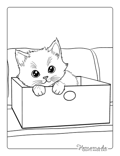 Kitten Coloring Pages Kitten Peaking From Box