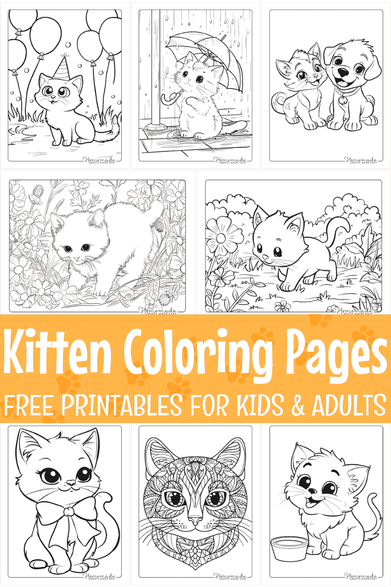 Free Kitten Coloring Pages Printable PDFs