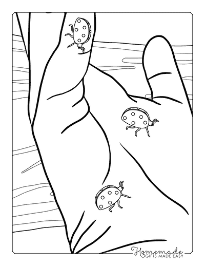 Ladybug Coloring Pages Cute Realistic Ladybugs on Hand