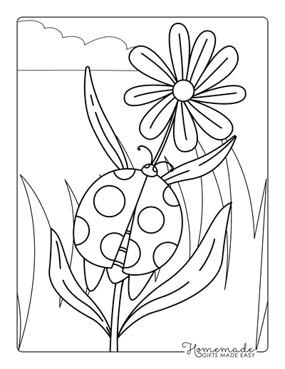 Ladybug Coloring Pages Cute Simple Ladybug Outline Climbing Flower