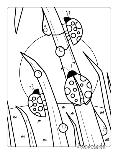 Ladybug Coloring Pages Cute Simple Ladybug Outlines Climbing Morning Grass