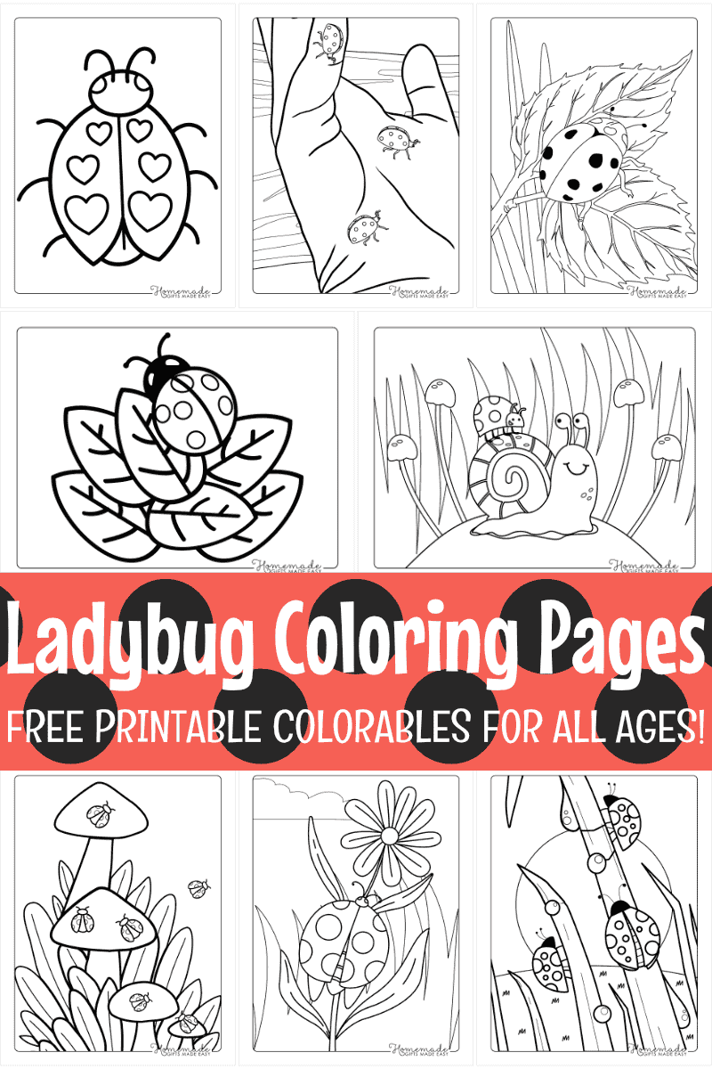 Free Printable Ladybug Coloring Pages