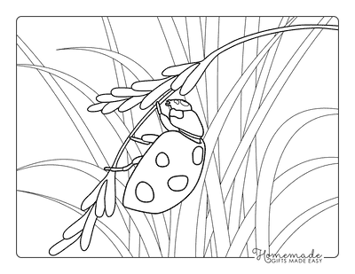 Ladybug Coloring Pages Simple Realistic Ladybug Hanging From Leaves