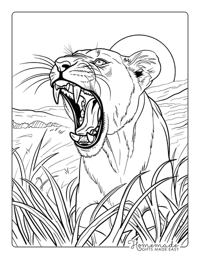 Lion Coloring Pages Realistic Lioness Roaring on the Prairie