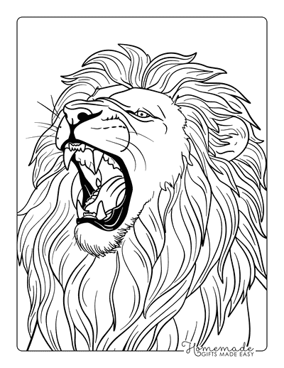 Lion Coloring Pages Realistic Roaring Lion Closeup