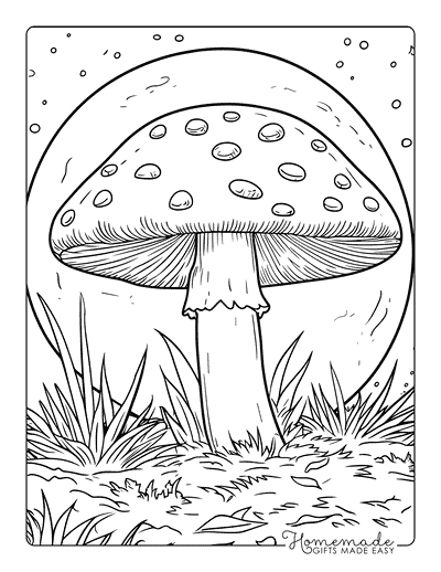 Mushroom Coloring Pages Realistic Mushroom Full Moon