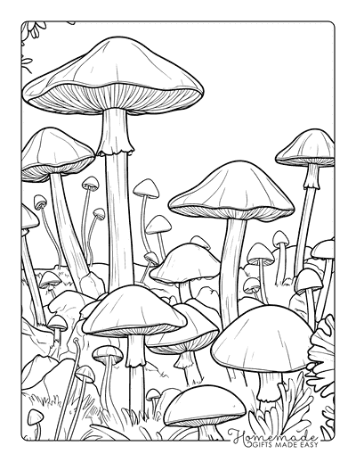 Mushroom Coloring Pages Realistic Mushrooms Forest Floor