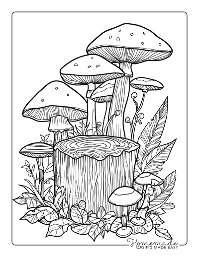 Mushroom Coloring Pages Whimsical Mushroom Stump