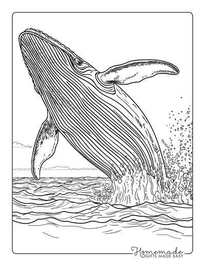 Ocean Coloring Pages Realistic Whale Breaching Surface