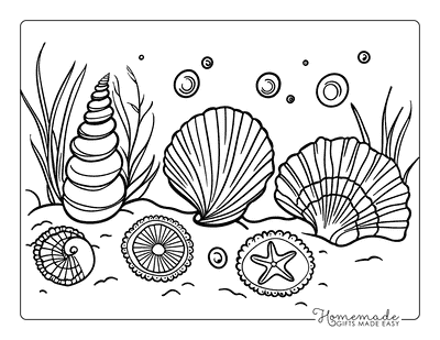 Ocean Coloring Pages Seashells to Color