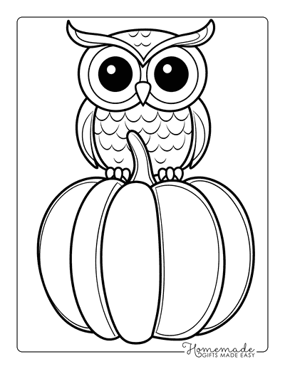 Owl Coloring Pages Easy Cute Owl Outline Perched on Pumpkin