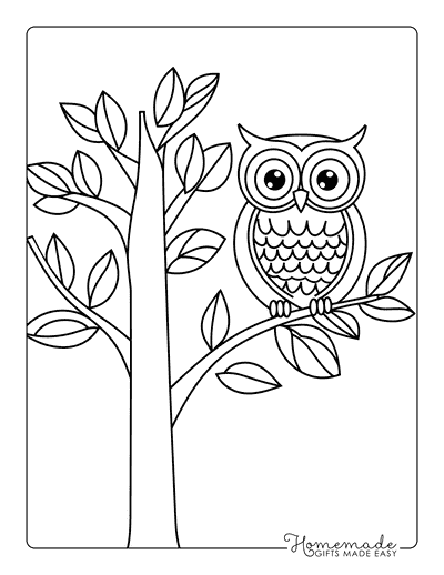 Owl Coloring Pages Easy Cute Owl Outline Perched on Tree