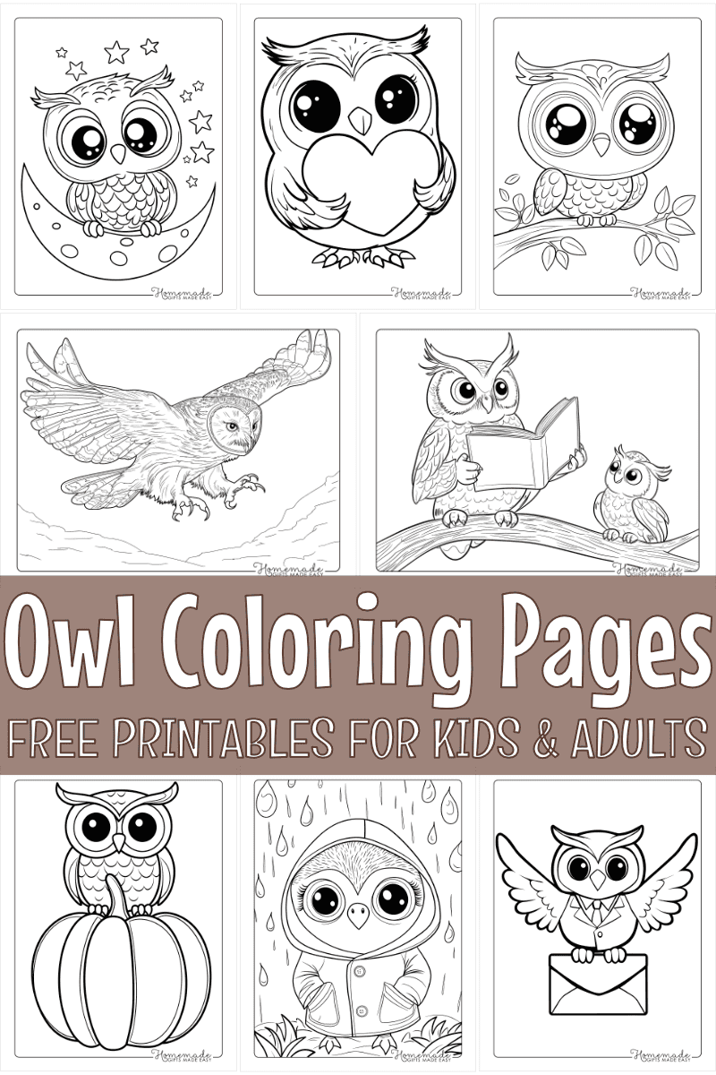 owl coloring pages