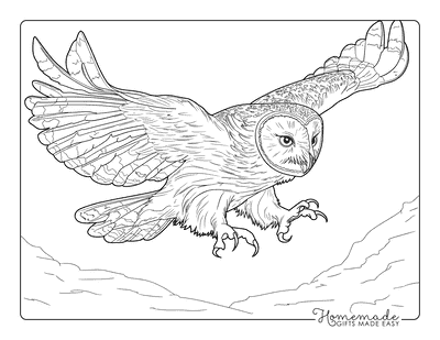 Owl Coloring Pages Realistic Owl Catching Prey