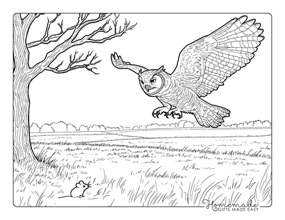 Owl Coloring Pages Realistic Owl Hunting Mouse in Field