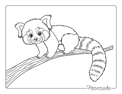 Panda Coloring Pages Easy Cute Red Panda in Tree