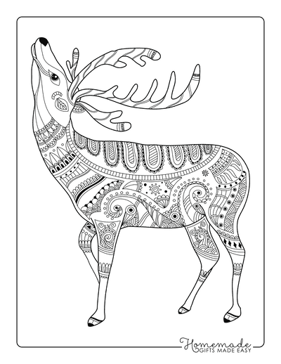 Reindeer Coloring Pages Zentangle for Adults