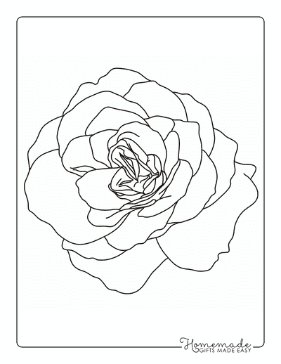 Rose Coloring Pages Simple Detailed Open Rose Outline for Adults