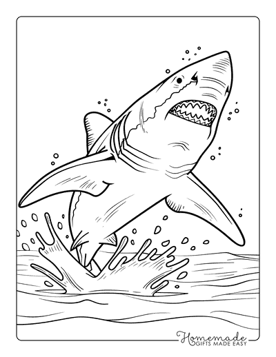 Shark Coloring Pages Great White Breaching Surface