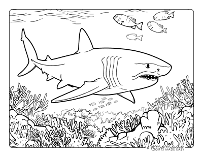 Shark Coloring Pages Great White Swimming in Coral Reef