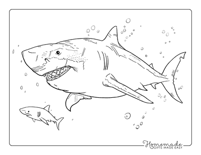 Shark Coloring Pages Megalodon and Great White