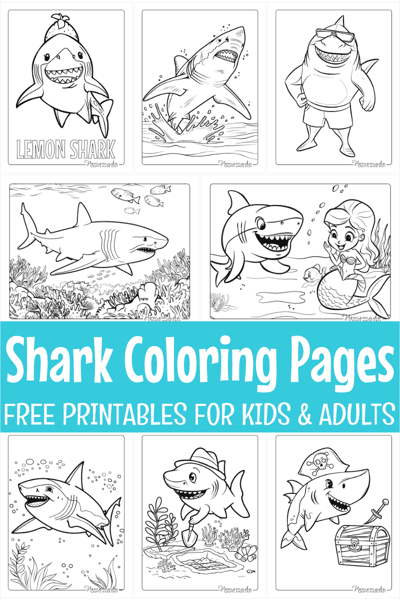 free sharks coloring pages prtinable PDFs for kids and adults