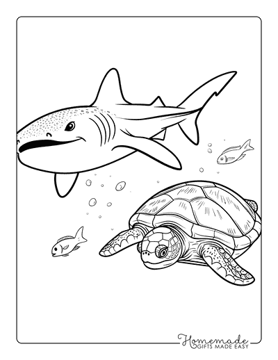 Shark Coloring Pages Whale Shark and Turtle