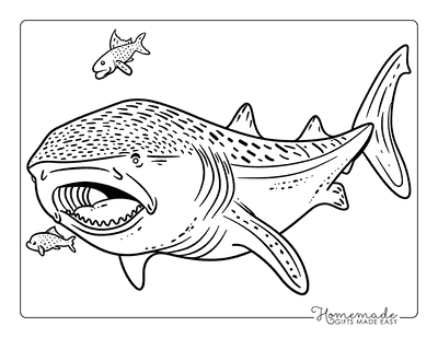 Shark Coloring Pages Whale Shark Eating Fish