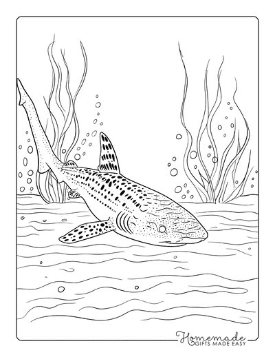 Shark Coloring Pages Zebra Shark Resting Realistic