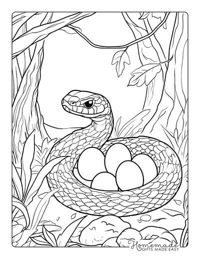 Snake Coloring Pages Cartoon Snake Protecting Eggs