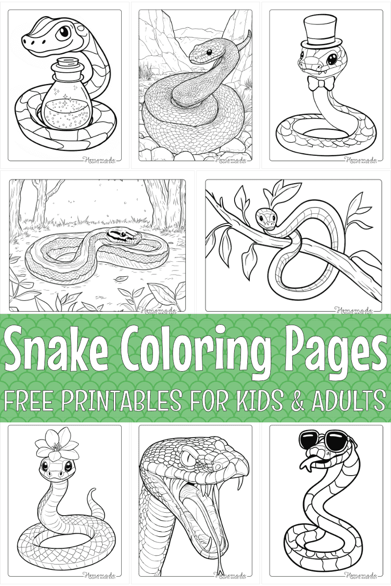 Snake Coloring Pages