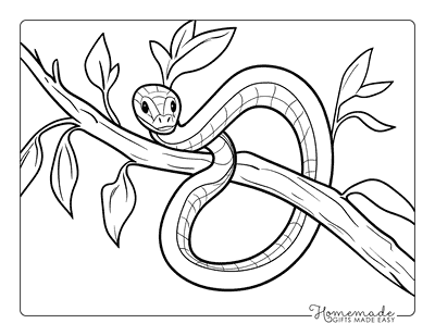 Snake Coloring Pages Snake Wrapped Around Branch