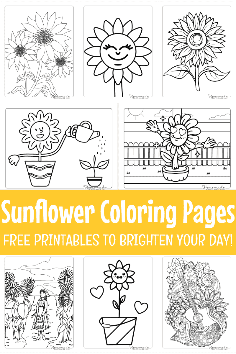 sunflower coloring pages