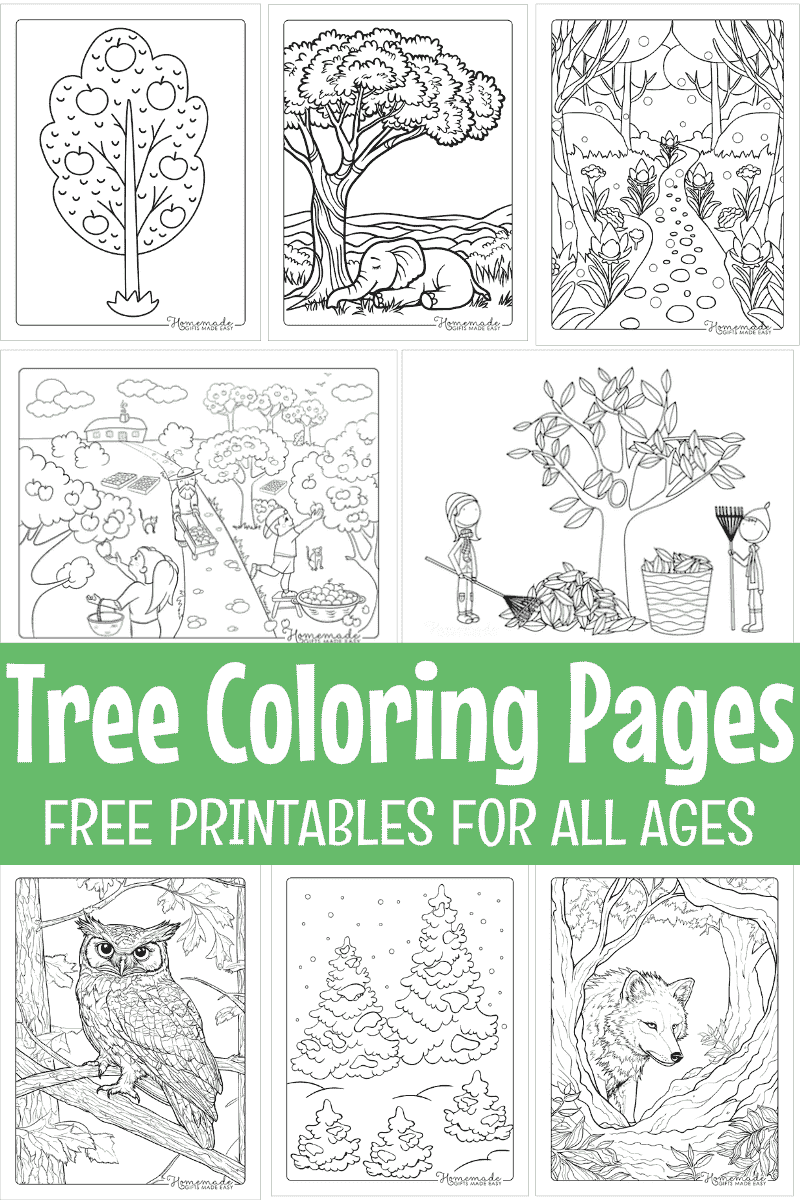 Free Printable Tree Coloring Pages