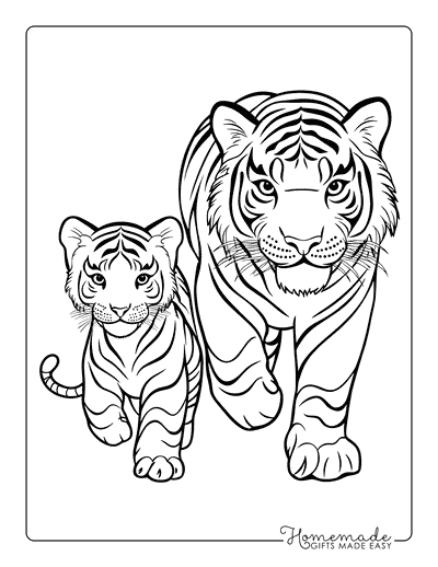 Tiger Coloring Pages Cute Tiger Cub Walking With Mother