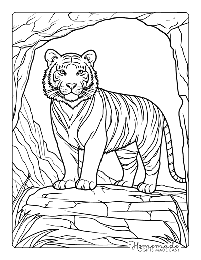 Tiger Coloring Pages Easy Tiger in Cave