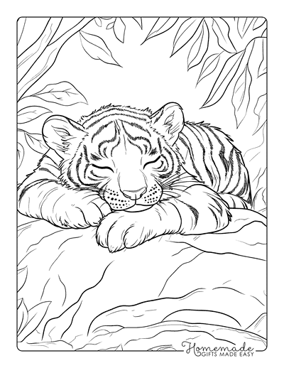 Tiger Coloring Pages Realistic Tiger Cub Sleeping on Rock