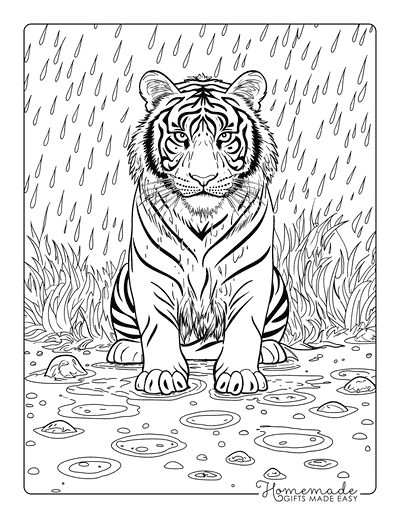 Tiger Coloring Pages Realistic Tiger Sitting in Rain