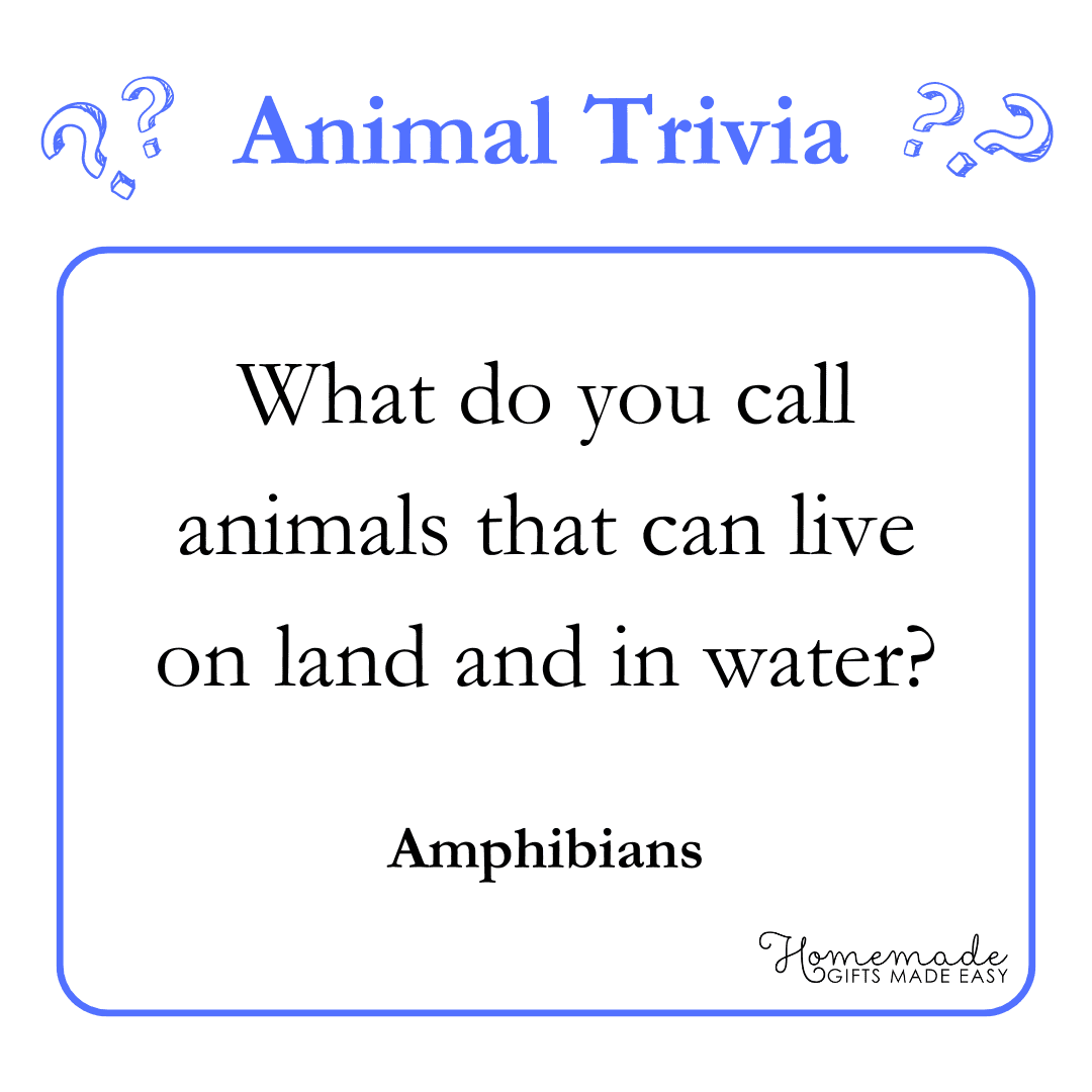 Trivia Questions - What do you call animals that can live on land and in water?