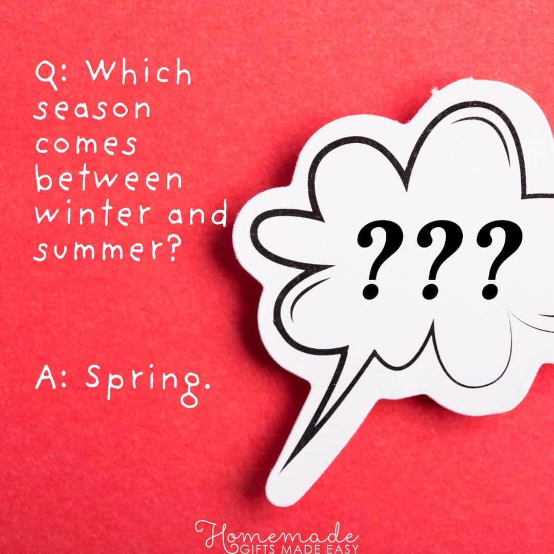 trivia questions for kids which season comes between winter and summer?