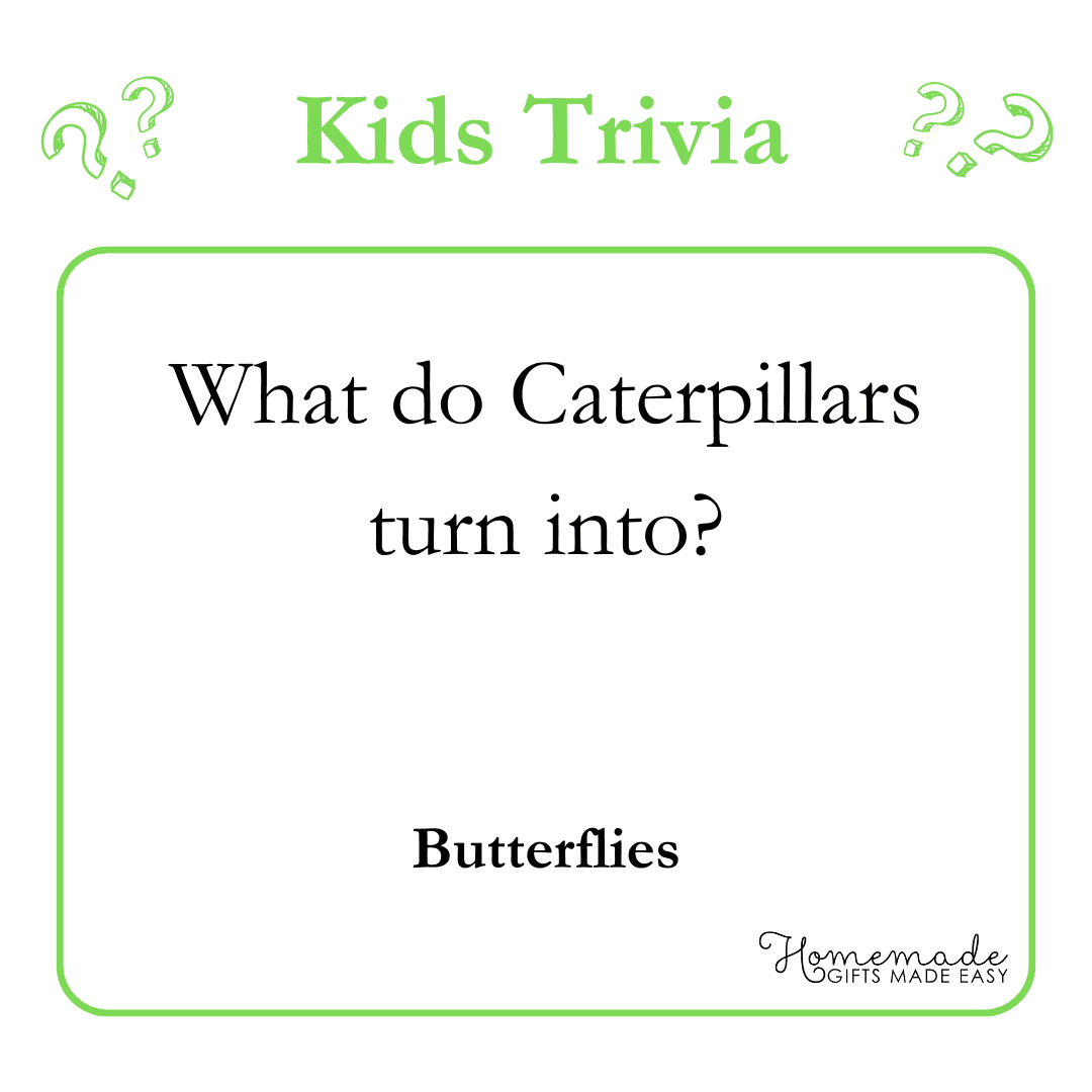 Trivia Questions - What do caterpillars turn into?