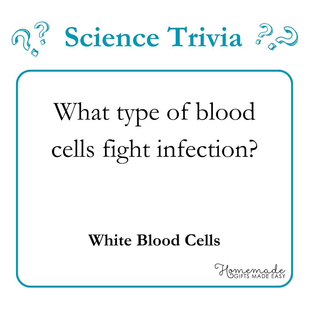 Trivia Questions - What type of blood cells fight infection?