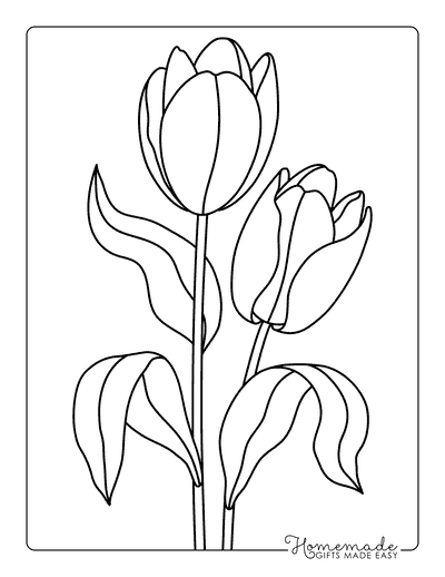 Tulip Coloring Pages