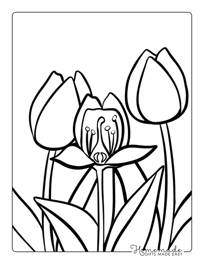 Tulip Coloring Pages Simple 3 Tulip and Leaves Outline for Kids