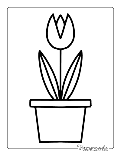 Tulip Coloring Pages Simple Potted Tulip Outline for Kids