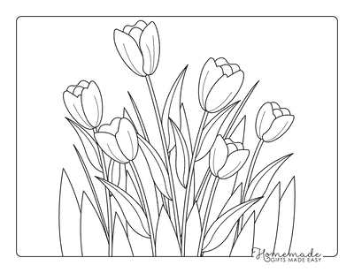 Tulip Coloring Pages Simple Tulip Outlines and Leaves Field