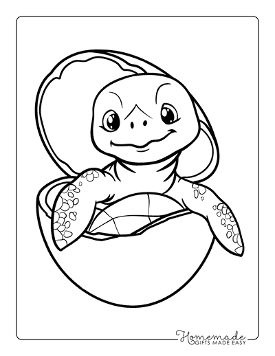 Turtle Coloring Pages Cute Baby Turtle in Eggshell