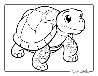 Turtle Coloring Pages Cute Gopher Tortoise